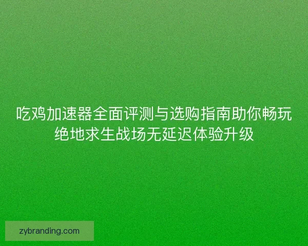 吃鸡加速器全面评测与选购指南助你畅玩绝地求生战场无延迟体验升级