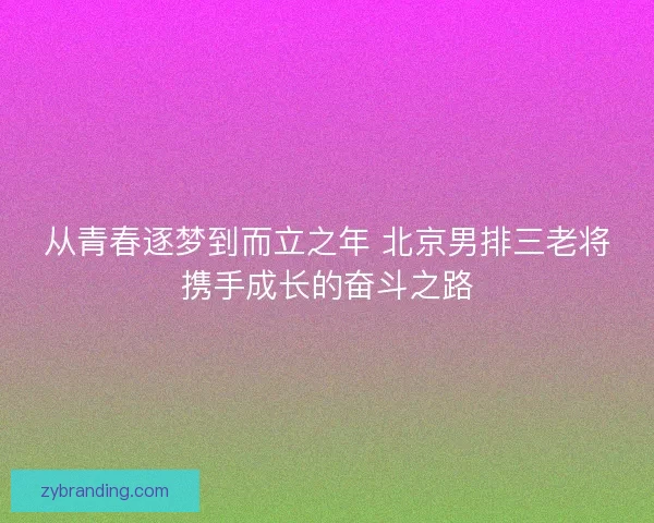 从青春逐梦到而立之年 北京男排三老将携手成长的奋斗之路