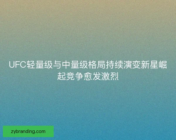 UFC轻量级与中量级格局持续演变新星崛起竞争愈发激烈