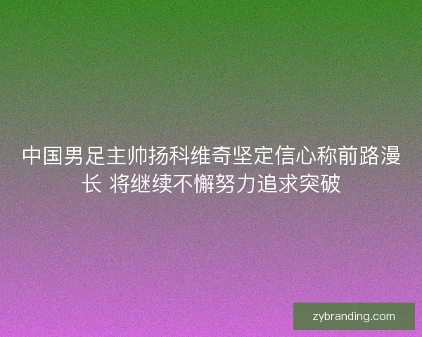 中国男足主帅扬科维奇坚定信心称前路漫长 将继续不懈努力追求突破