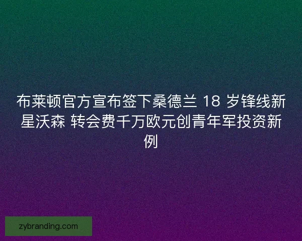 布莱顿官方宣布签下桑德兰 18 岁锋线新星沃森 转会费千万欧元创青年军投资新例